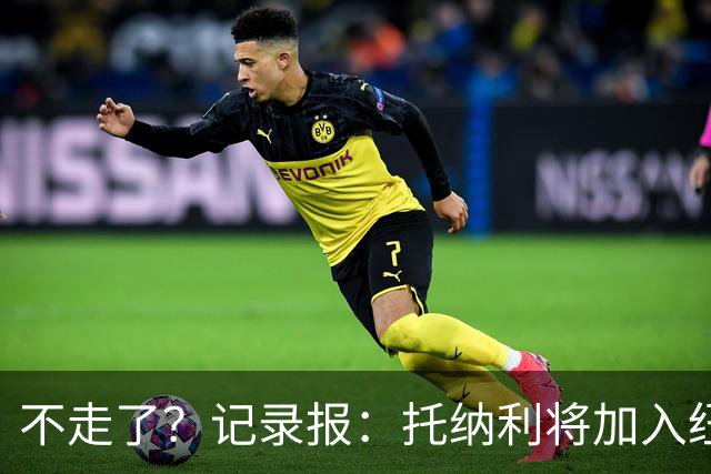 不走了？记录报：托纳利将加入纽卡斯尔的领导小组