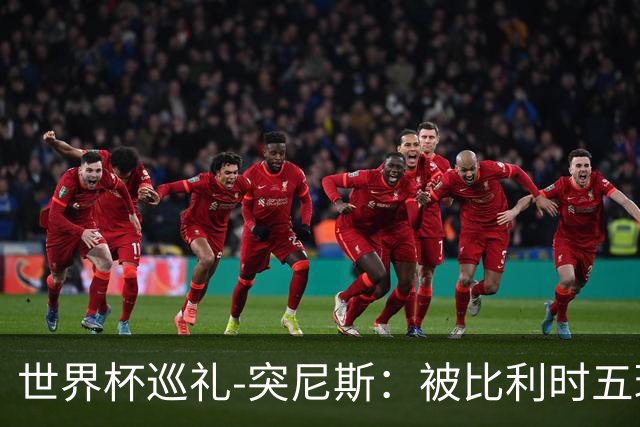 世界杯巡礼-突尼斯：被比利时五球“羞辱”，迦太基之鹰前途难测