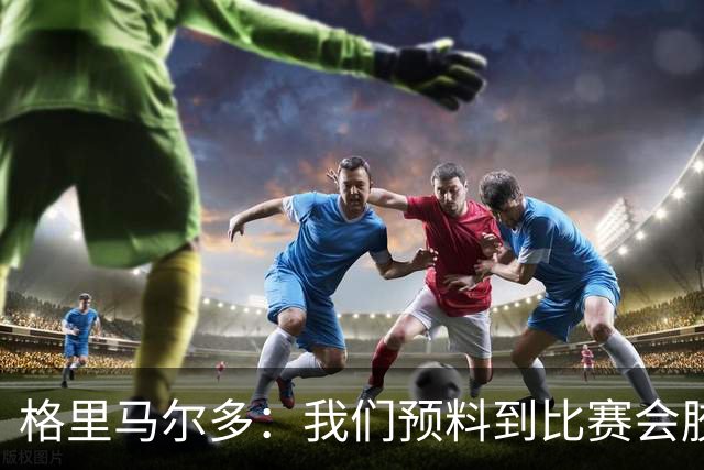 格里马尔多：我们预料到比赛会胶着，因为了解阿根廷人的拼劲