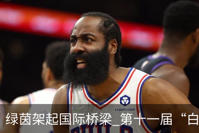 绿茵架起国际桥梁 第十一届“白洋淀杯”上海国际少年足球赛圆满落幕