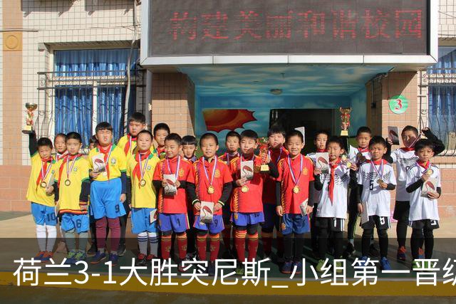 荷兰3-1大胜突尼斯 小组第一晋级淘汰赛将战摩洛哥
