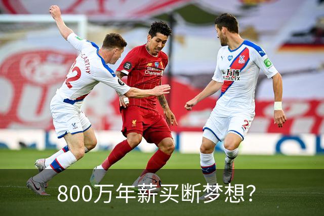 800万年薪买断梦想？
